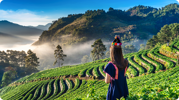 Errores comunes al organizar un viaje a Vietnam por libre (y cómo evitarlos)